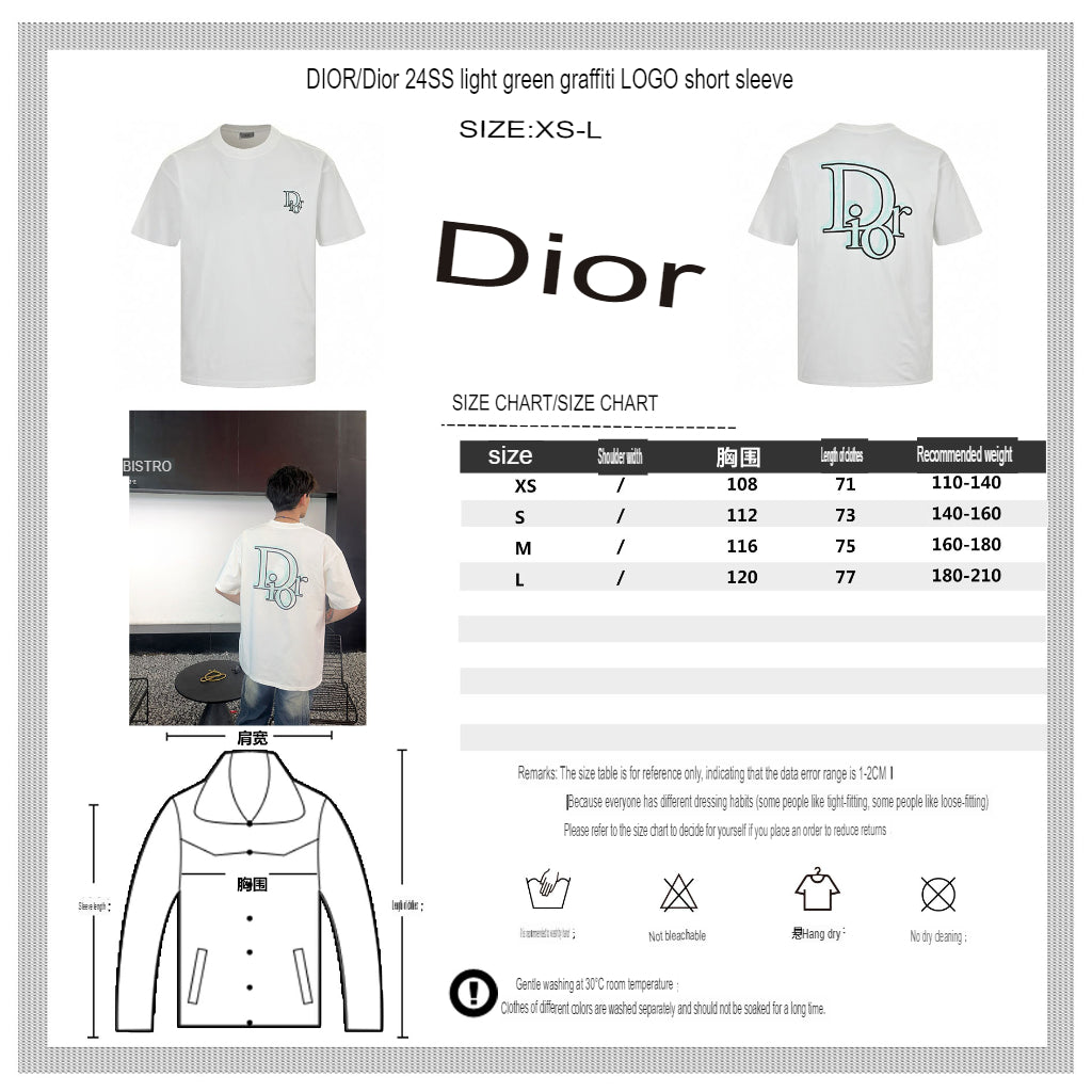 Dior Classic Logo T-Shirt (White)